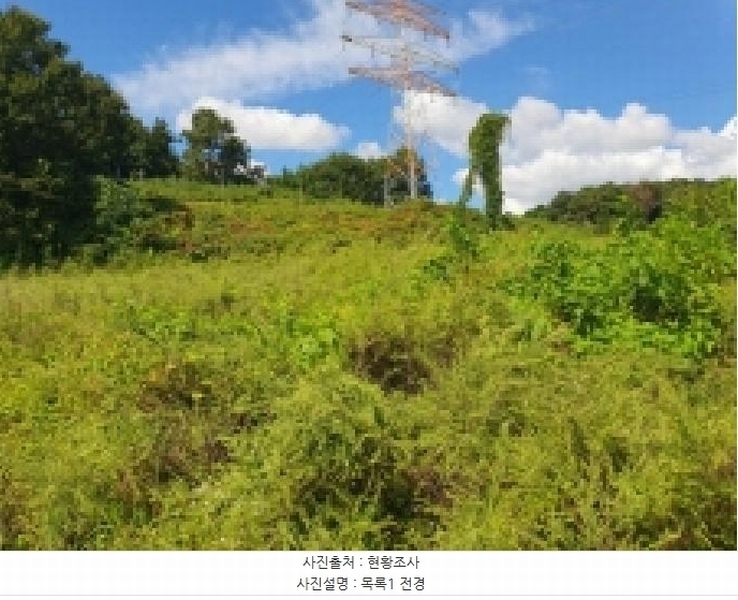 2025타경3829 세종특별자치시 연서면 성제리 282 농지 경매 이미지