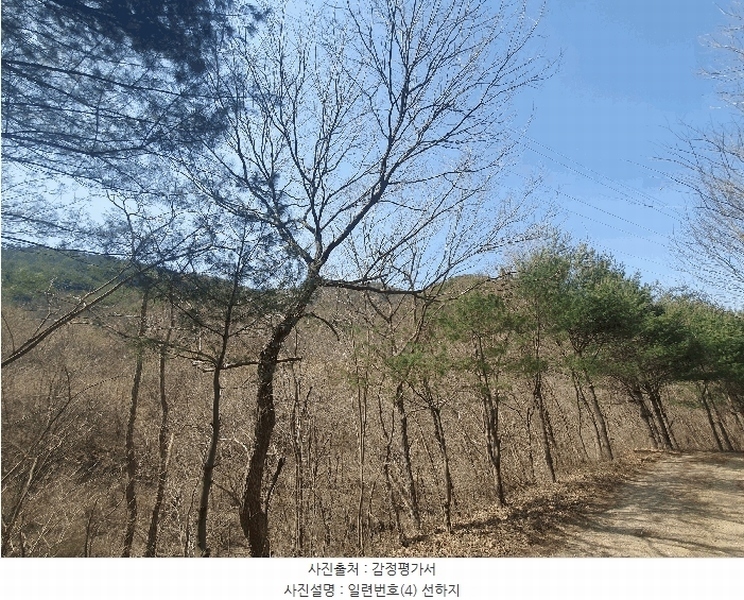 2025타경501887 충청남도 금산군 추부면 서대리 711 농지 경매 이미지