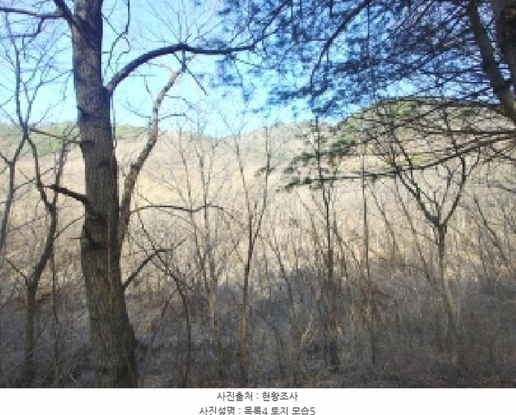 2025타경501887 충청남도 금산군 추부면 서대리 711 농지 경매 이미지