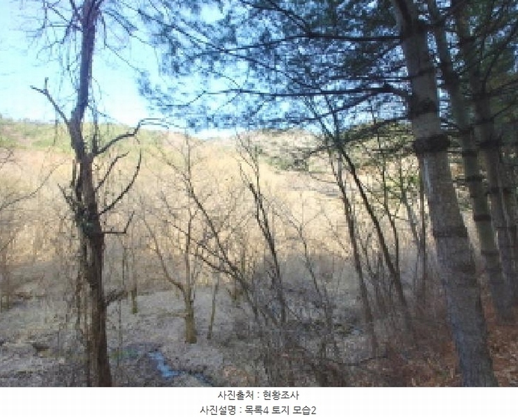 2025타경501887 충청남도 금산군 추부면 서대리 711 농지 경매 이미지