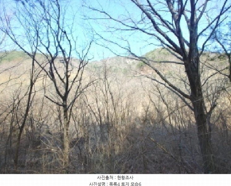2025타경501887 충청남도 금산군 추부면 서대리 711 농지 경매 이미지
