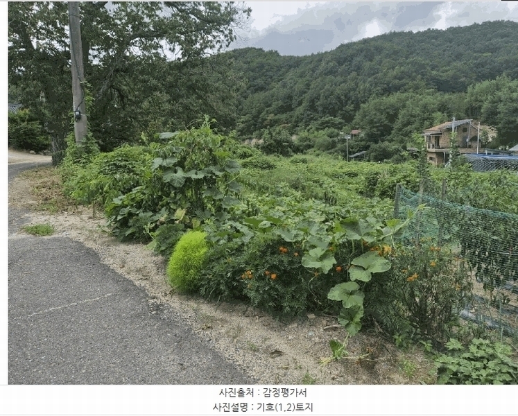 2025타경503275 충청남도 금산군 제원면 신안리 152-2 대지 경매 이미지