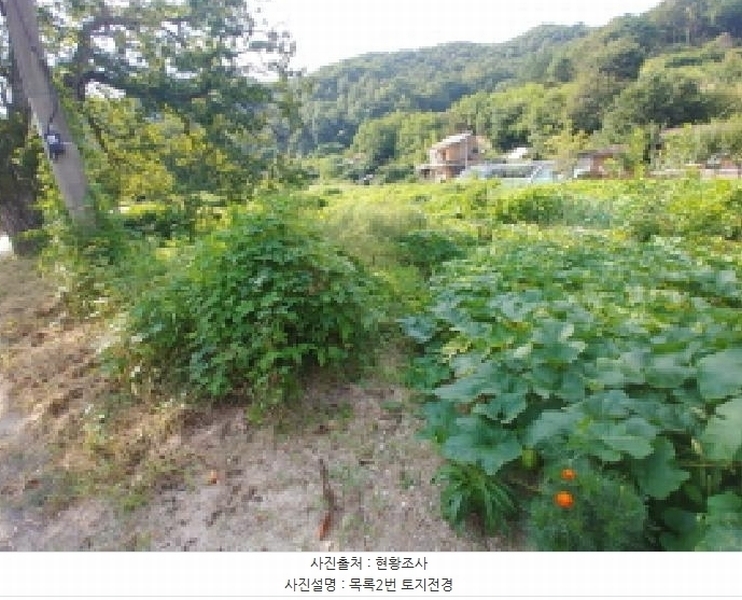 2025타경503275 충청남도 금산군 제원면 신안리 152-2 대지 경매 이미지
