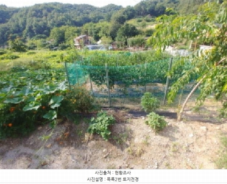 2025타경503275 충청남도 금산군 제원면 신안리 152-2 대지 경매 이미지