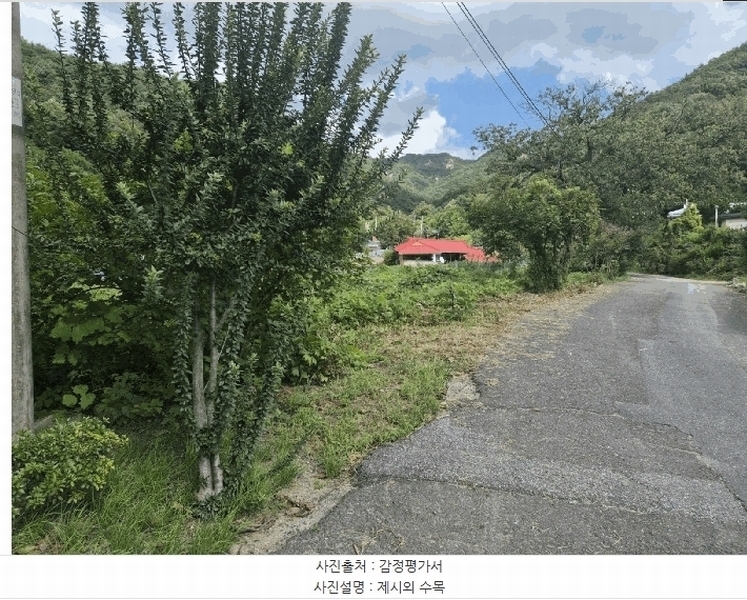 2025타경503275 충청남도 금산군 제원면 신안리 152-2 대지 경매 이미지