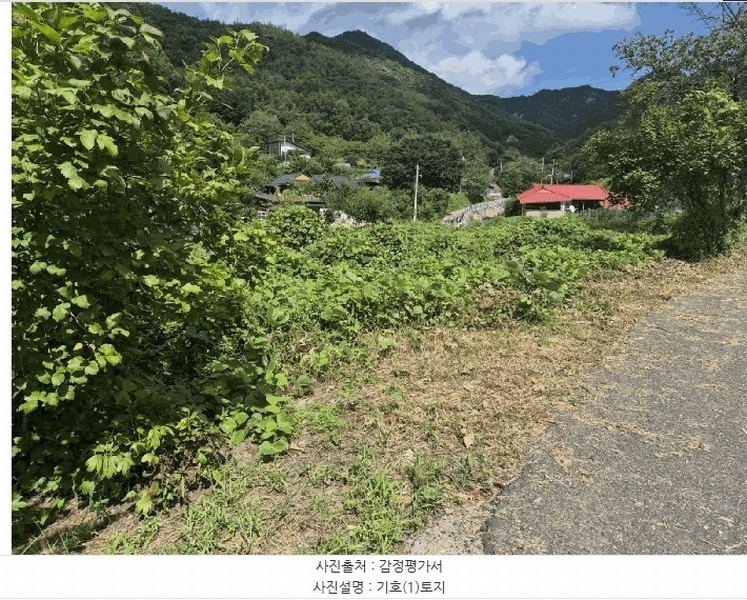 2025타경503275 충청남도 금산군 제원면 신안리 152-2 대지 경매 이미지