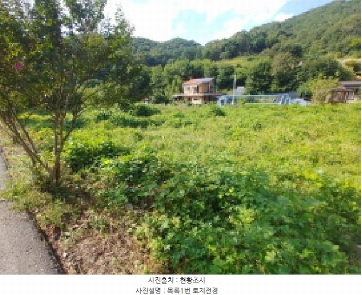 2025타경503275 충청남도 금산군 제원면 신안리 152-2 대지 경매 이미지