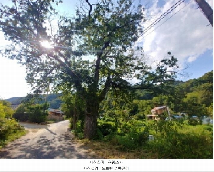 2025타경503275 충청남도 금산군 제원면 신안리 152-2 대지 경매 이미지