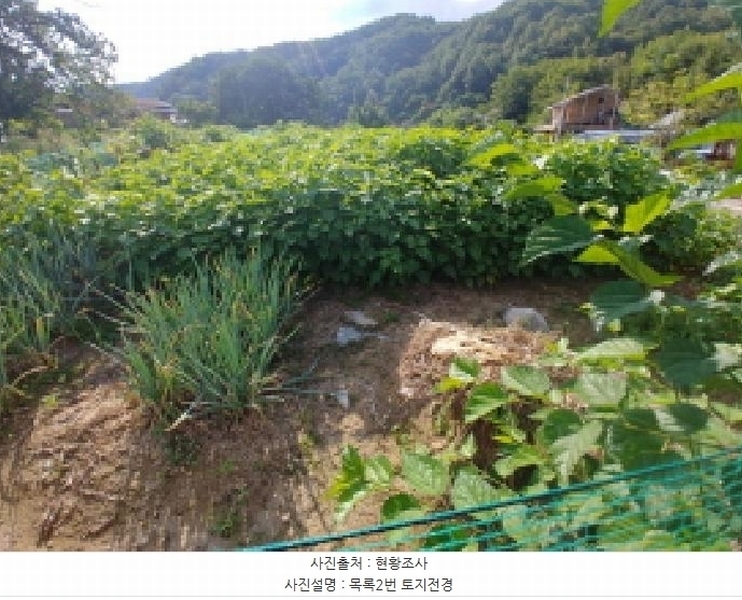 2025타경503275 충청남도 금산군 제원면 신안리 152-2 대지 경매 이미지