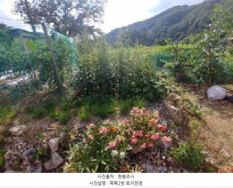2025타경503275 충청남도 금산군 제원면 신안리 152-2 대지 경매 이미지