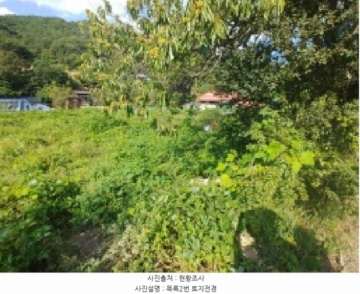 2025타경503275 충청남도 금산군 제원면 신안리 152-2 대지 경매 이미지