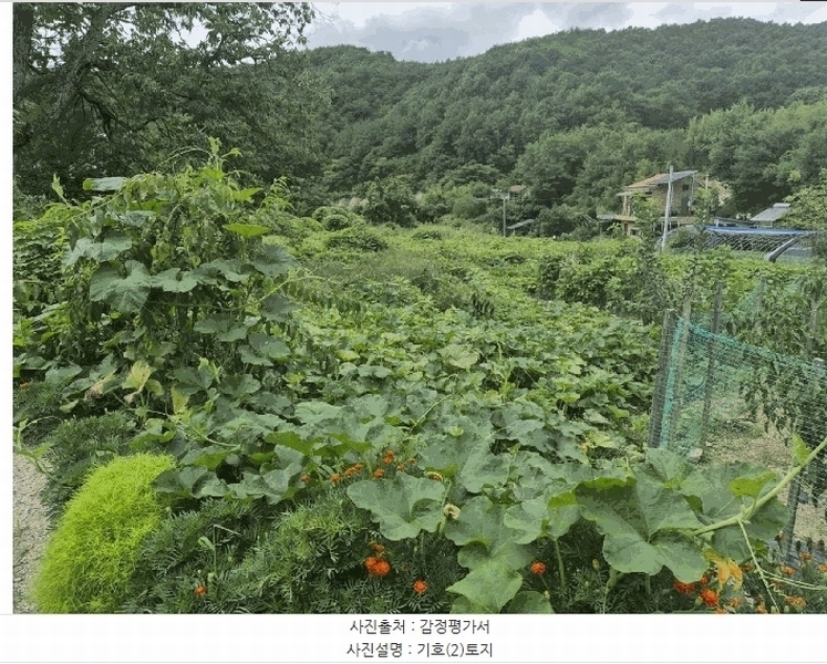 2025타경503275 충청남도 금산군 제원면 신안리 152-2 대지 경매 이미지