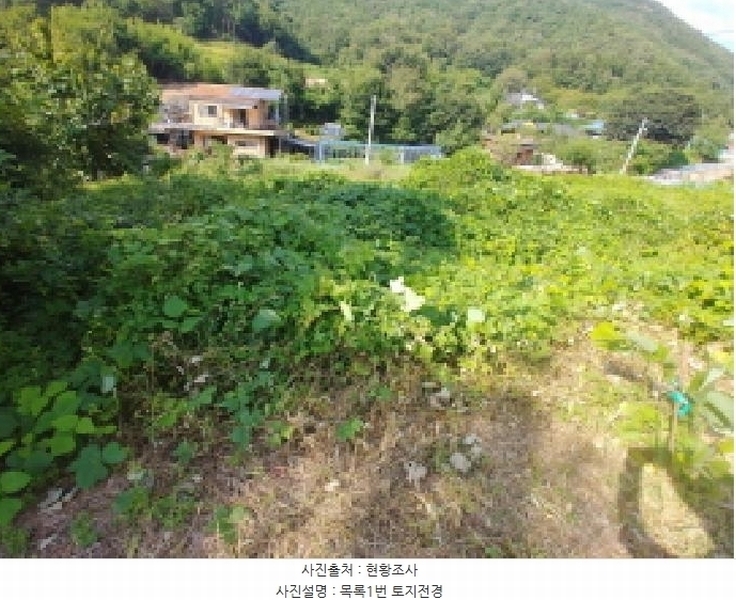 2025타경503275 충청남도 금산군 제원면 신안리 152-2 대지 경매 이미지