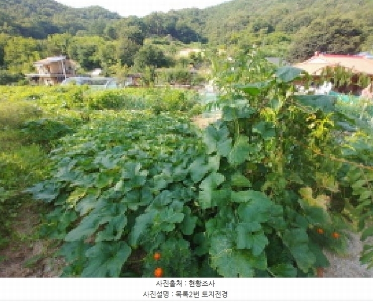 2025타경503275 충청남도 금산군 제원면 신안리 152-2 대지 경매 이미지
