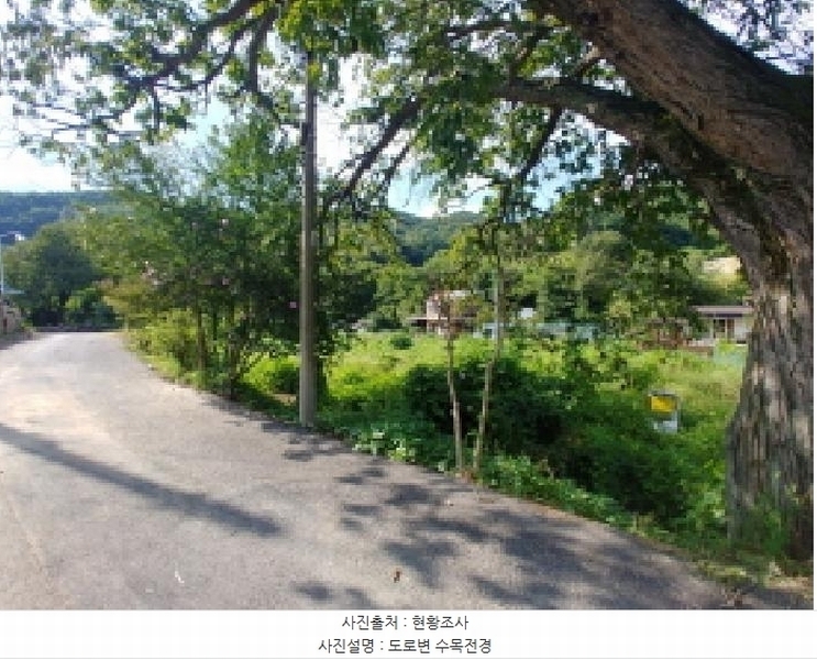 2025타경503275 충청남도 금산군 제원면 신안리 152-2 대지 경매 이미지