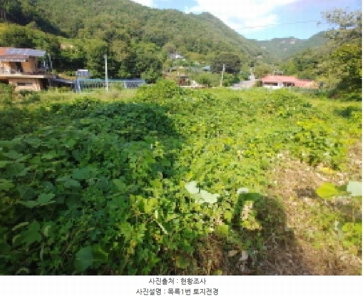 2025타경503275 충청남도 금산군 제원면 신안리 152-2 대지 경매 이미지