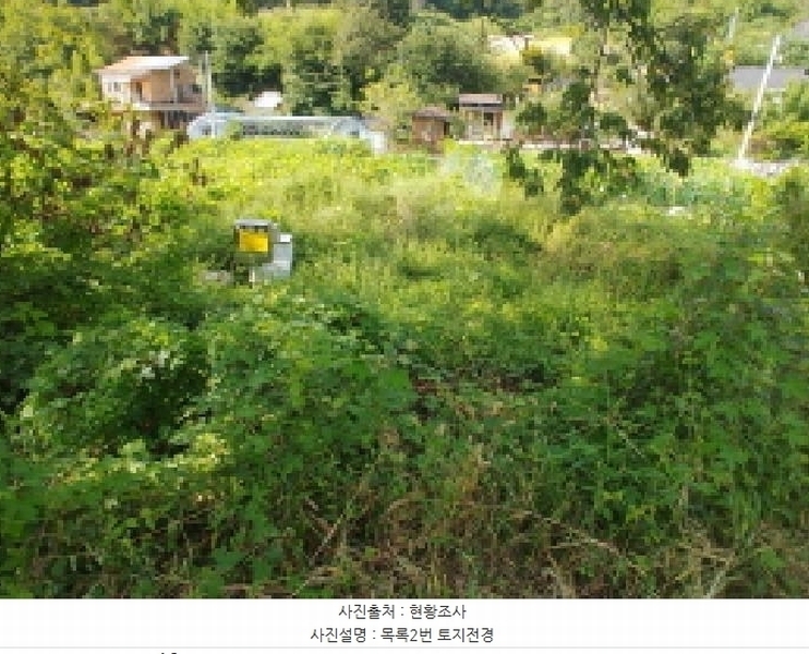 2025타경503275 충청남도 금산군 제원면 신안리 152-2 대지 경매 이미지