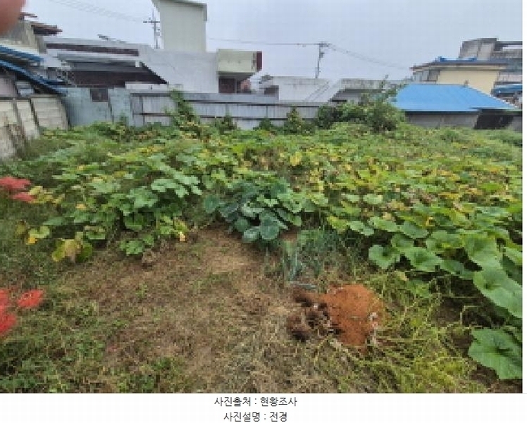 2025타경503394 세종특별자치시 부강면 부강리 486-3 대지 경매 이미지