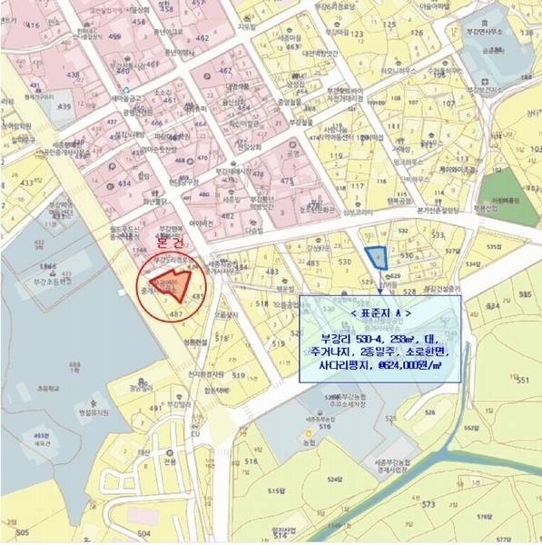 2025타경503394 세종특별자치시 부강면 부강리 486-3 대지 경매 이미지