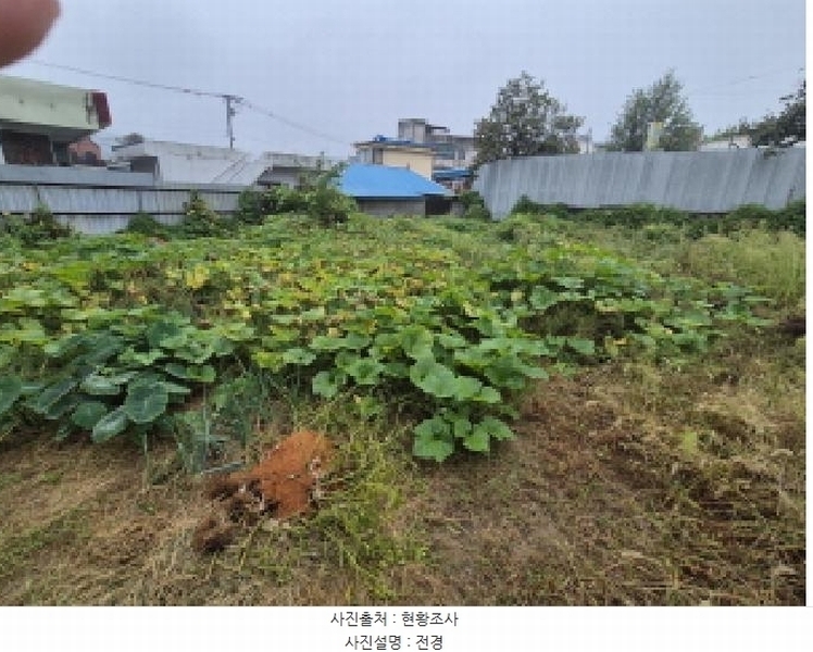 2025타경503394 세종특별자치시 부강면 부강리 486-3 대지 경매 이미지