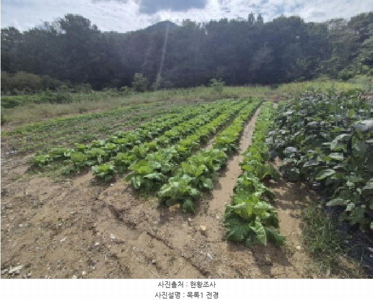 2025타경503459 세종특별자치시 금남면 도남리 9 농지 경매 이미지