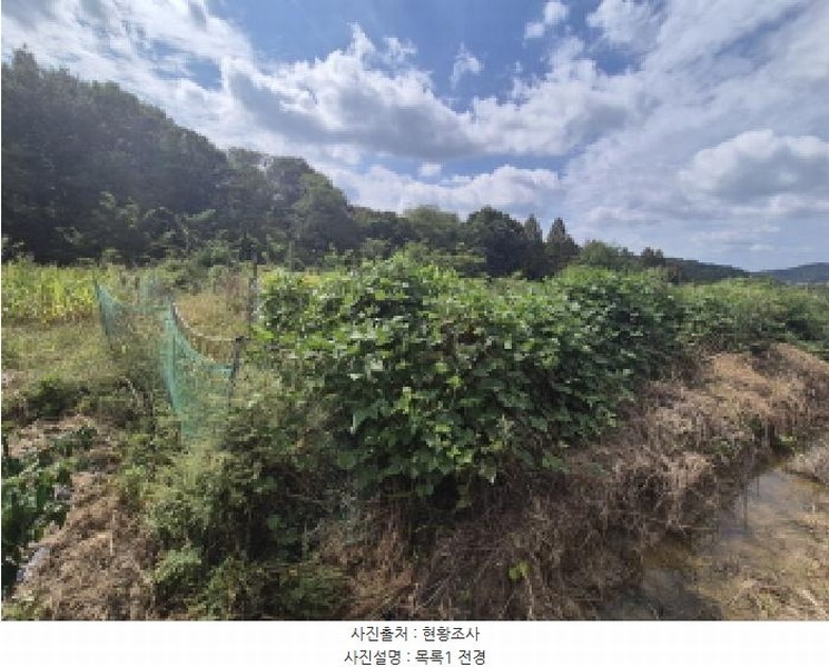 2025타경503459 세종특별자치시 금남면 도남리 9 농지 경매 이미지