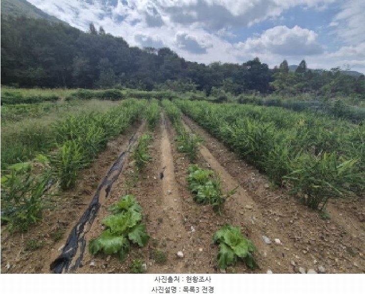 2025타경503459 세종특별자치시 금남면 도남리 9 농지 경매 이미지