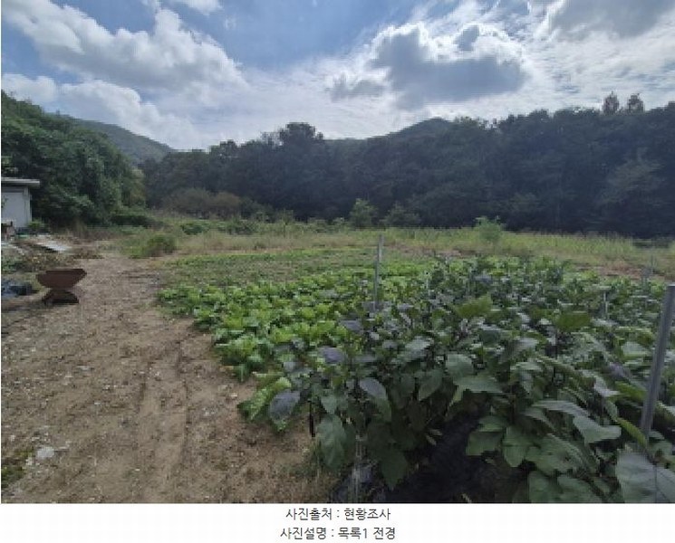 2025타경503459 세종특별자치시 금남면 도남리 9 농지 경매 이미지