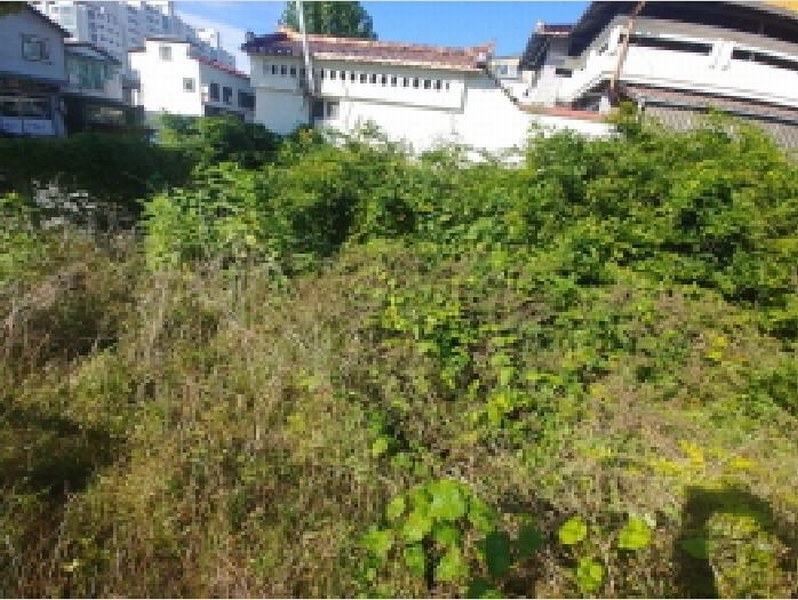 2025타경503548 충청남도 금산군 금산읍 상리 14-16 대지 경매 이미지
