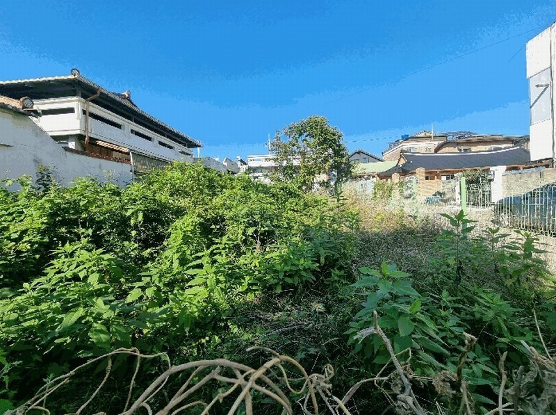 2025타경503548 충청남도 금산군 금산읍 상리 14-16 대지 경매 이미지