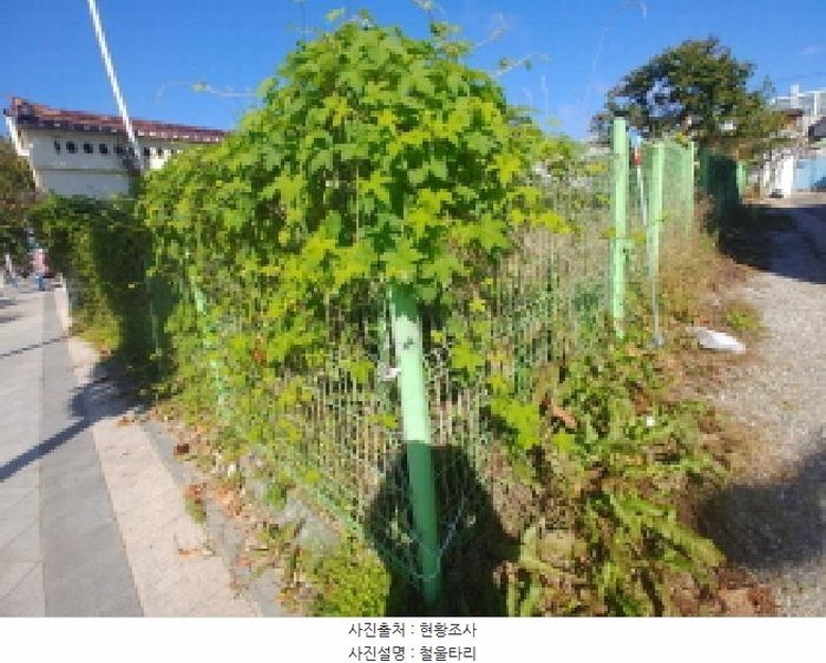 2025타경503548 충청남도 금산군 금산읍 상리 14-16 대지 경매 이미지