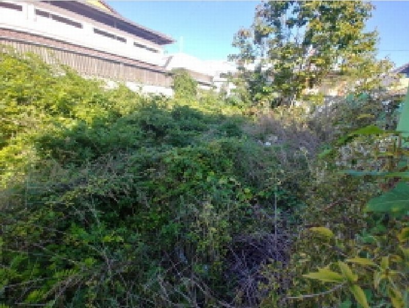 2025타경503548 충청남도 금산군 금산읍 상리 14-16 대지 경매 이미지