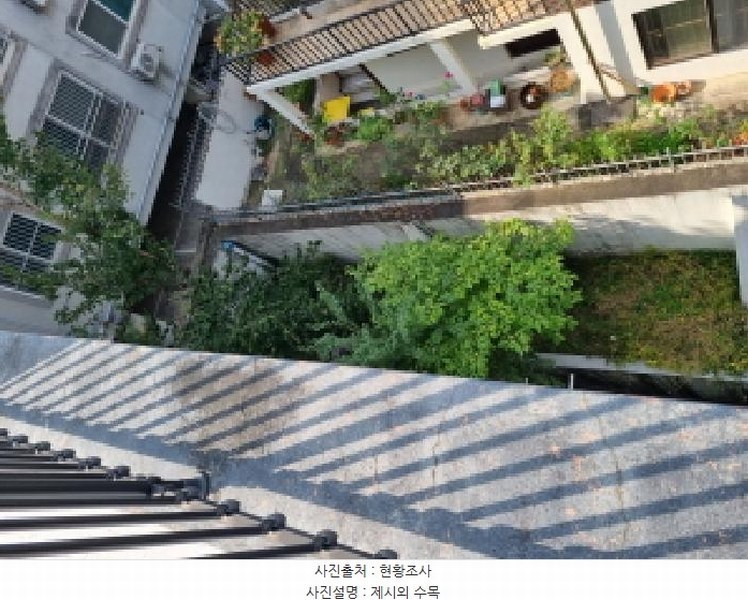 2025타경503602 대전광역시 서구 괴정동 75-37 다가구(원룸등) 경매 이미지