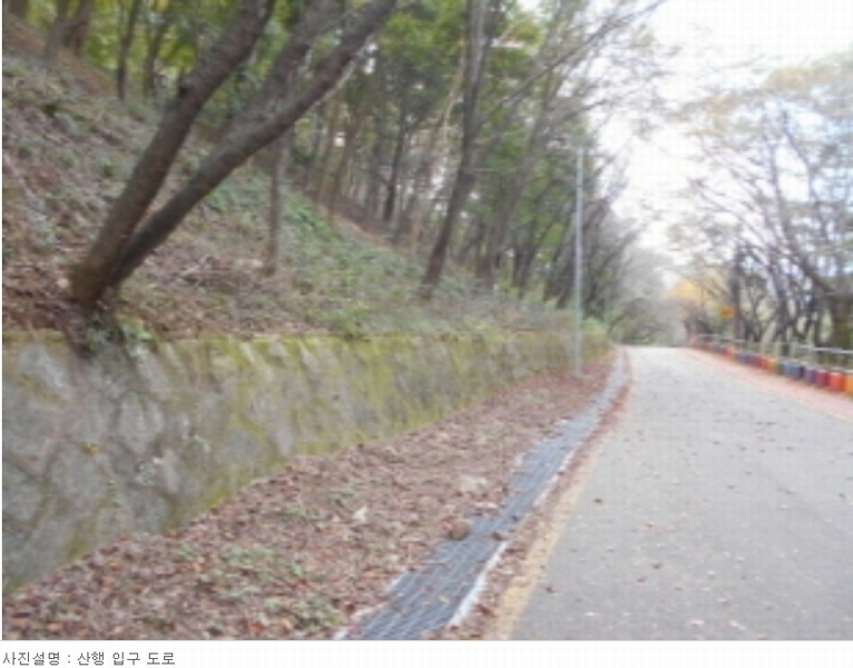 2023타경115492 대전광역시 중구 사정동 산1-1 임야 경매 이미지