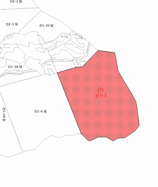 2023타경115492 대전광역시 중구 사정동 산1-1 임야 경매 이미지