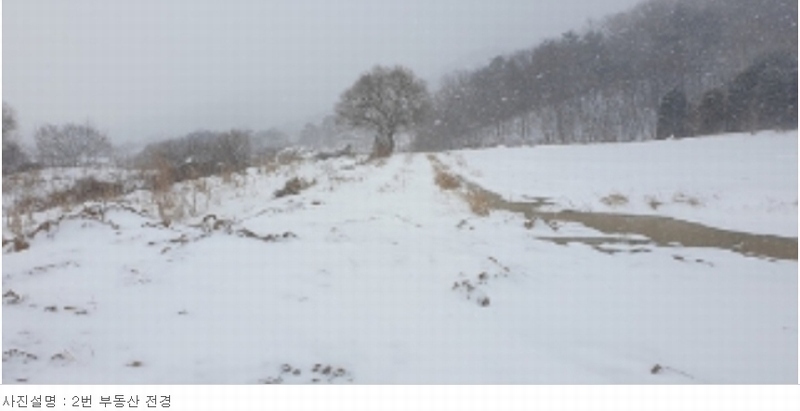 2024타경88 충청남도 예산군 덕산면 상가리 372 농지 경매 이미지