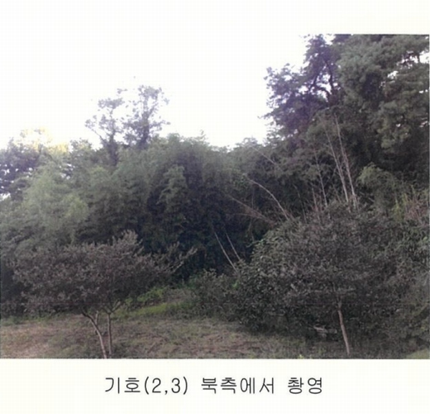 2024타경3063 충청남도 홍성군 결성면 형산리 441-1 임야 경매 이미지