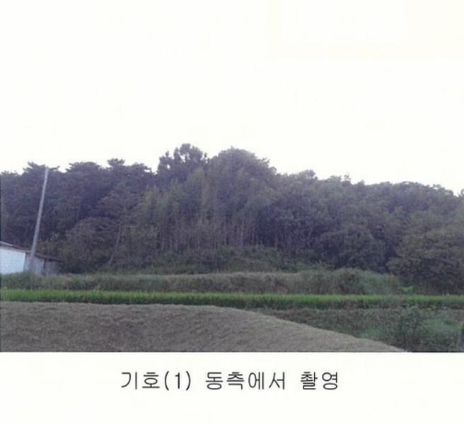 2024타경3063 충청남도 홍성군 결성면 형산리 441-1 임야 경매 이미지