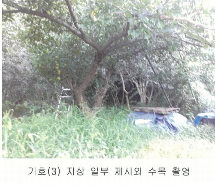 2024타경3063 충청남도 홍성군 결성면 형산리 441-1 임야 경매 이미지