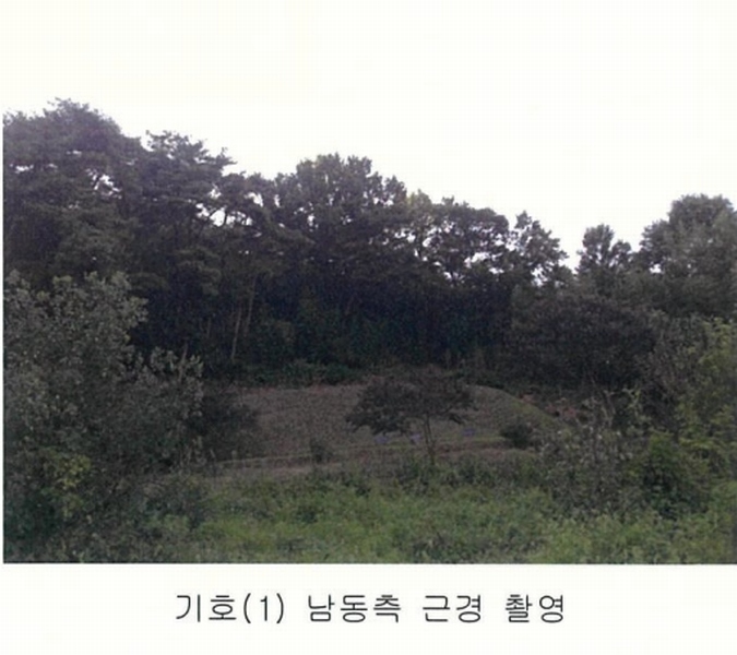 2024타경3063 충청남도 홍성군 결성면 형산리 441-1 임야 경매 이미지