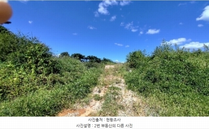 2024타경3186 충청남도 보령시 남포면 제석리 153-7 농지 경매 이미지