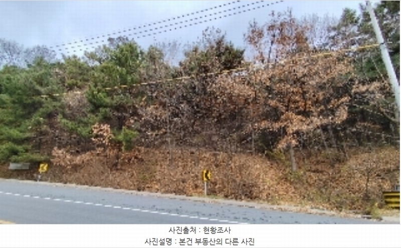 2024타경21733 충청남도 보령시 주교면 은포리 산75-1 임야 경매 이미지