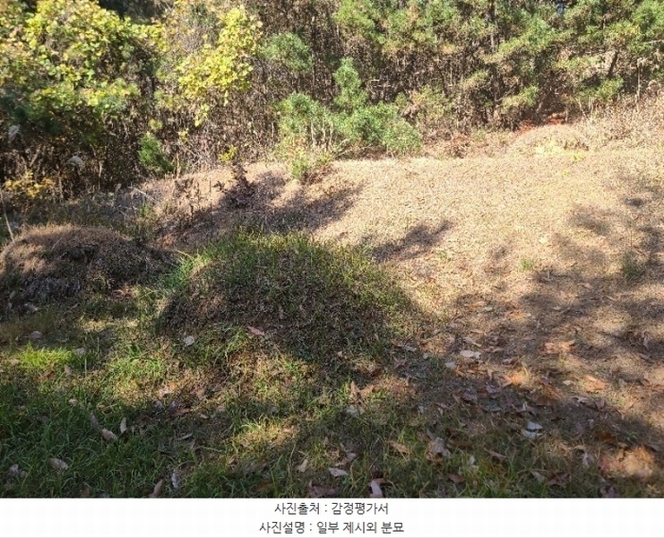 2024타경21733 충청남도 보령시 주교면 은포리 산75-1 임야 경매 이미지