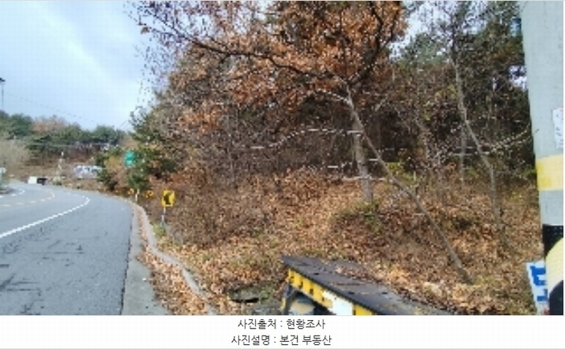 2024타경21733 충청남도 보령시 주교면 은포리 산75-1 임야 경매 이미지