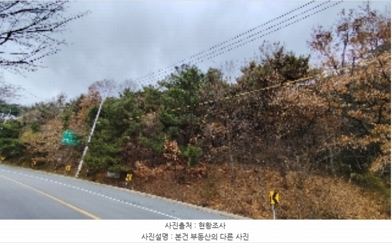 2024타경21733 충청남도 보령시 주교면 은포리 산75-1 임야 경매 이미지