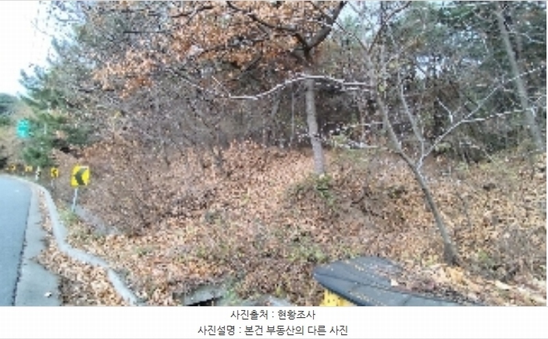 2024타경21733 충청남도 보령시 주교면 은포리 산75-1 임야 경매 이미지