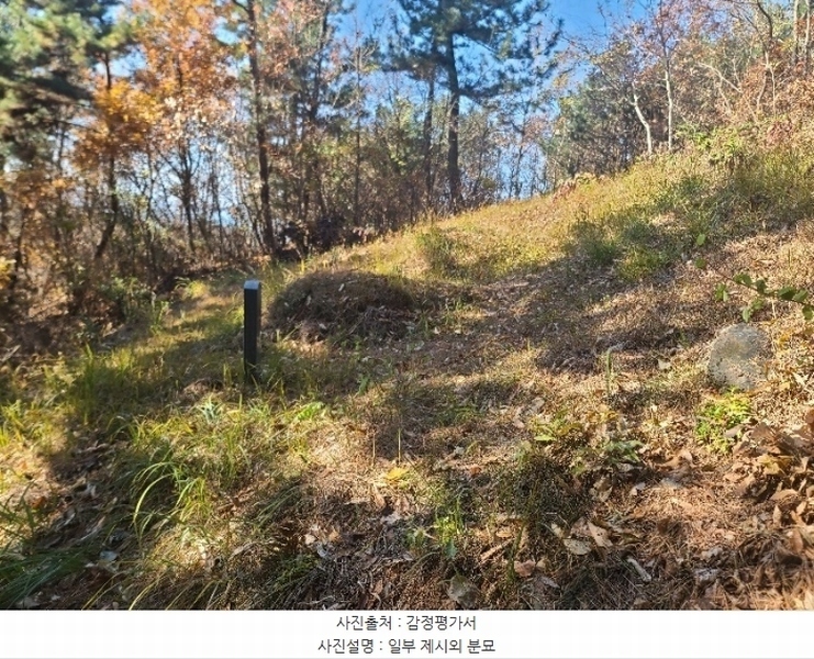 2024타경21733 충청남도 보령시 주교면 은포리 산75-1 임야 경매 이미지