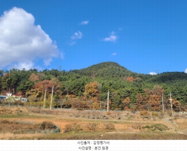 2024타경21733 충청남도 보령시 주교면 은포리 산75-1 임야 경매 이미지
