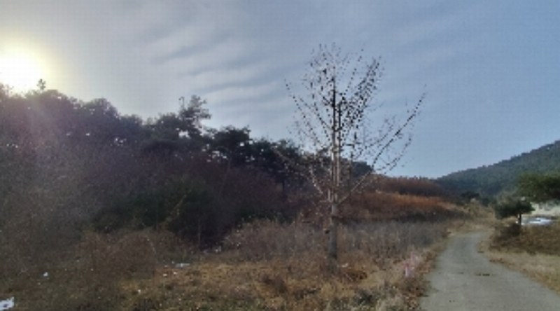 2024타경22286 충청남도 보령시 남포면 소송리 산51 임야 경매 이미지