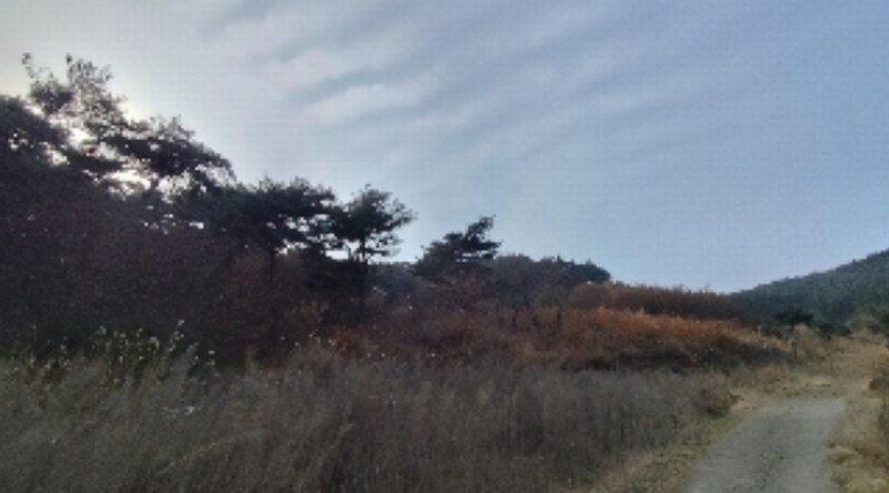 2024타경22286 충청남도 보령시 남포면 소송리 산51 임야 경매 이미지